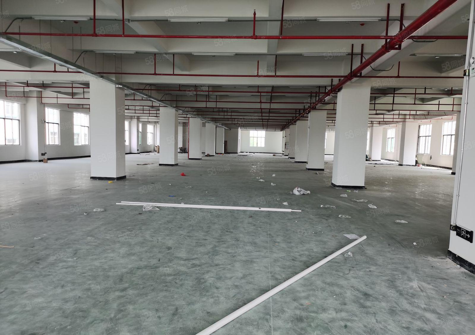 惠东县民营工业区独院全新标准厂房面积8000平米出租