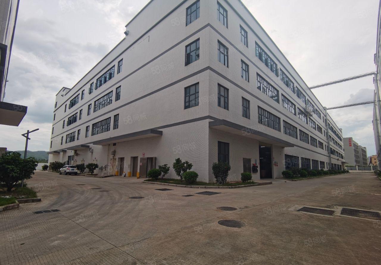 深汕合作区鹅埠镇全新红本标准精装修厂房17000平出租可分租