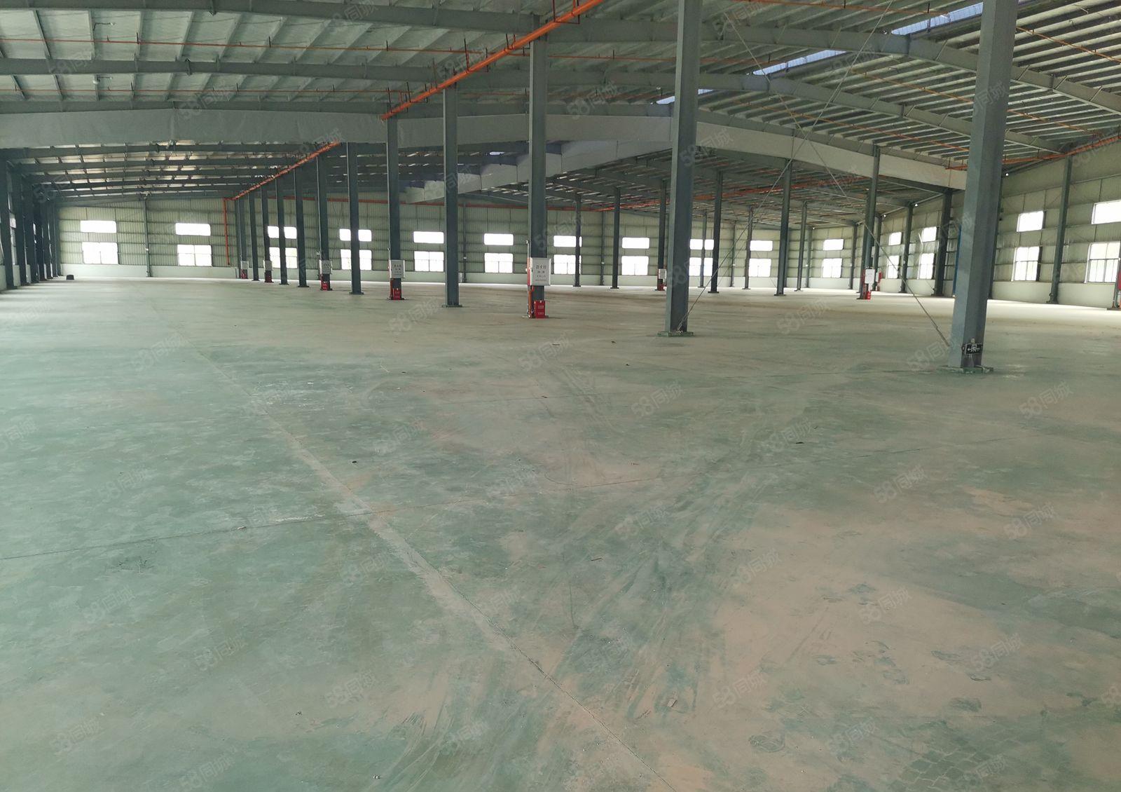 15元，惠东白花原房东钢构厂房低价招租