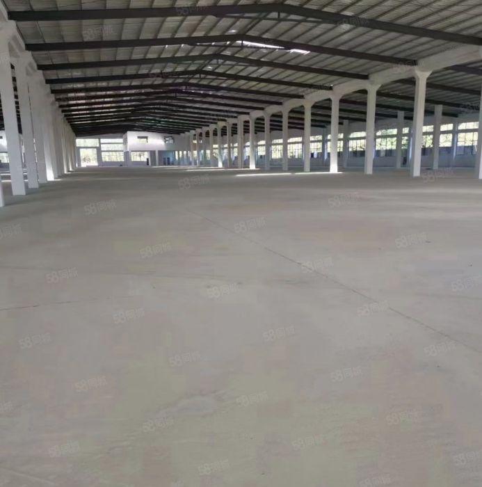 靓惠东独院厂房单层3300平米和4700平米招租