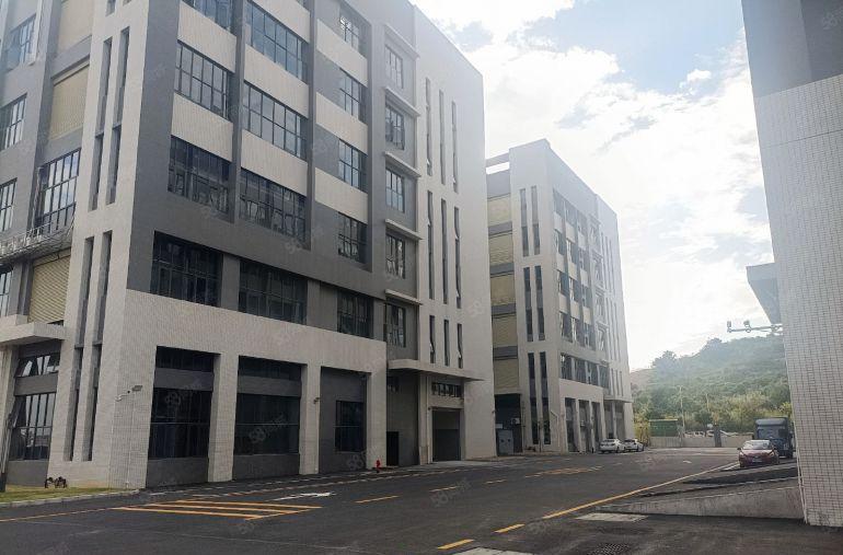 滴水7米！惠东大岭标准厂房出租出售，可做喷油喷粉电池行业