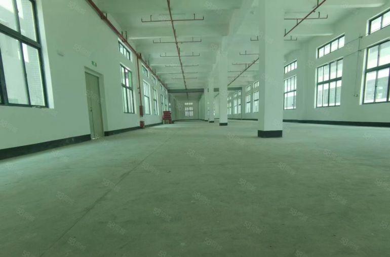 惠州市全新红本独门独院厂房9千平招租无公摊独立变压器