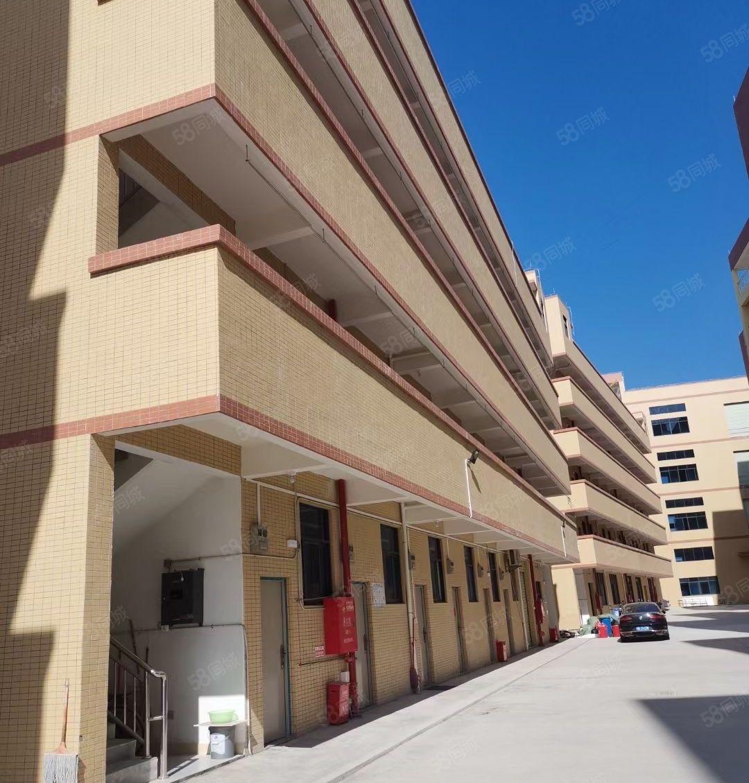 出租惠东大岭13230平方工业厂房，可办环评有专变，15元