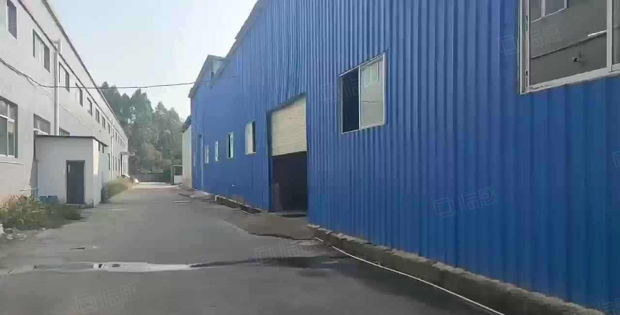 惠东白花镇500平米7米高钢构厂房仓库招租超大空地可做轻污染
