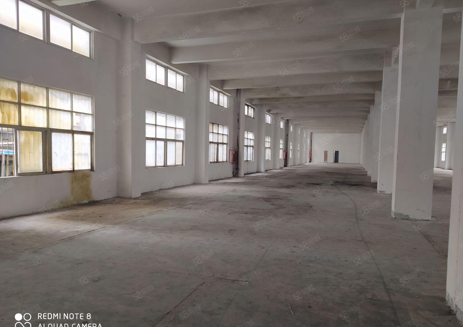 惠州市惠东县红本厂房出租1000起分整租统租可办环评