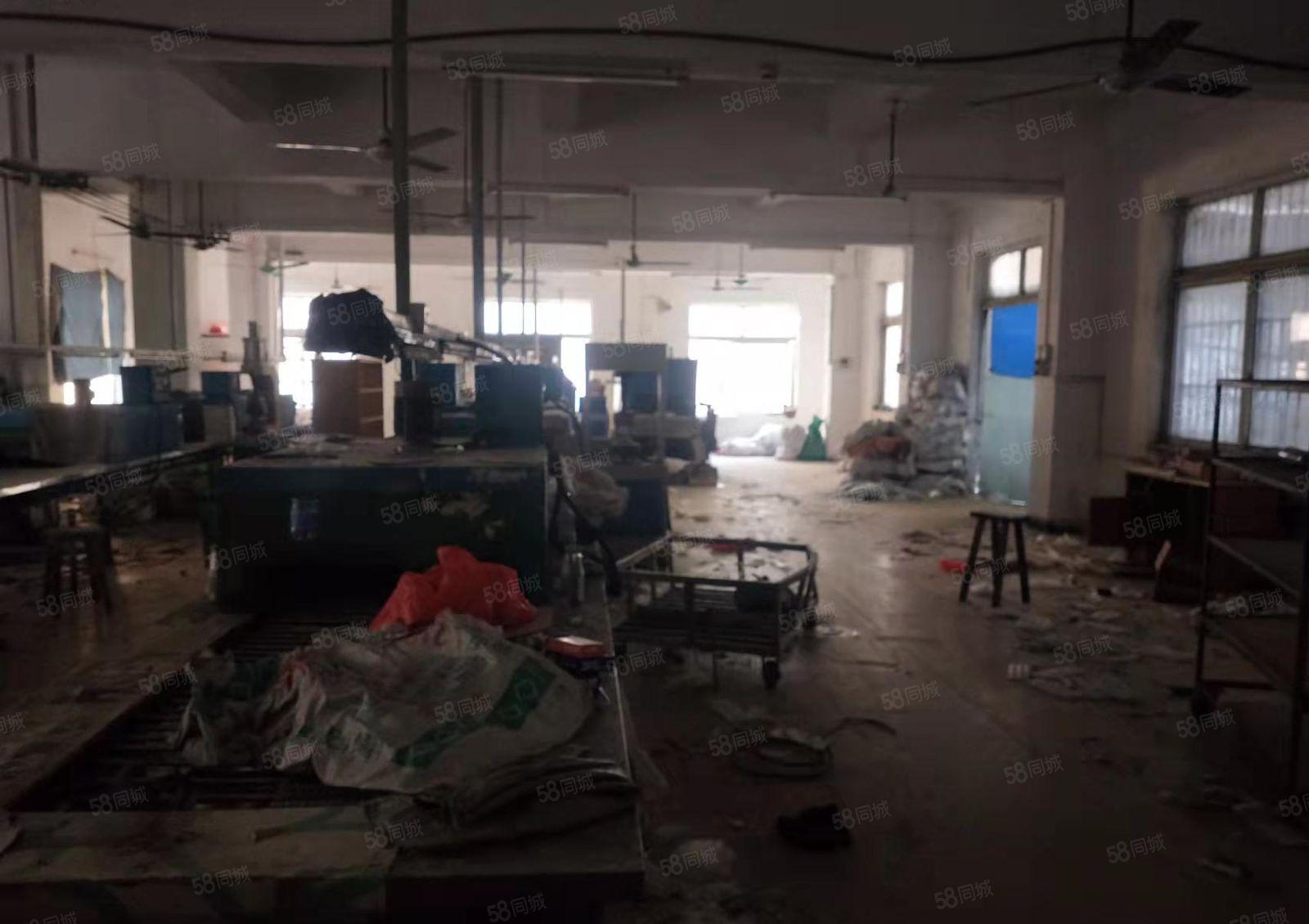 惠阳区惠东县黄埠镇田富围村独栋标准厂房6间4层1000平方米