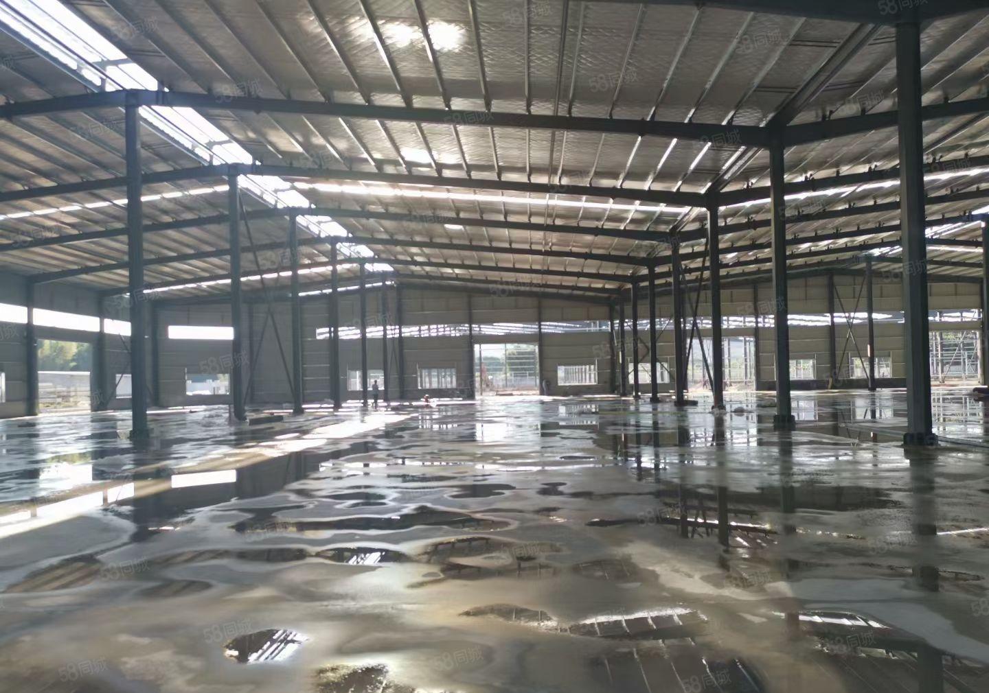 惠东全新钢构厂房出租 三万平方 大小可分租 交通便