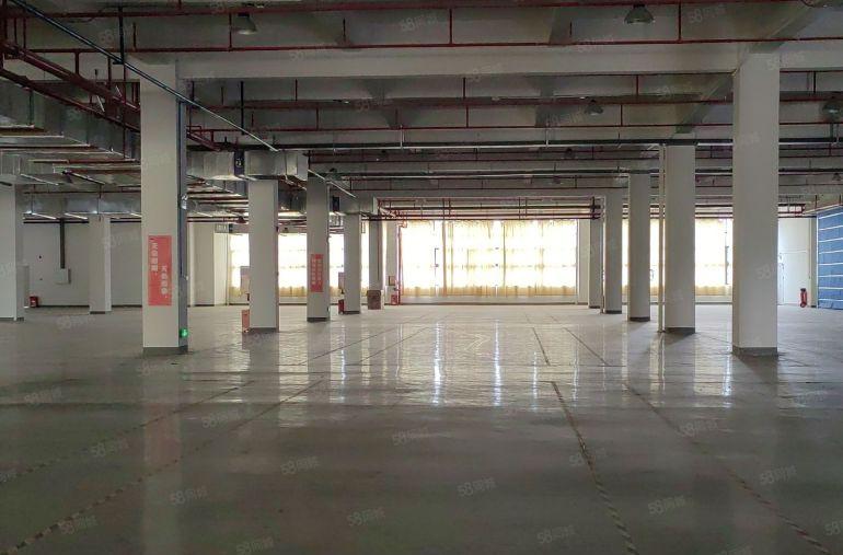 惠东大岭12600平方标准厂房，产证齐全，可办环评