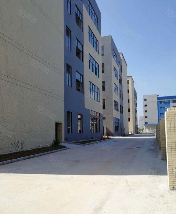 惠东大岭附近全新独院厂房10800平方出租