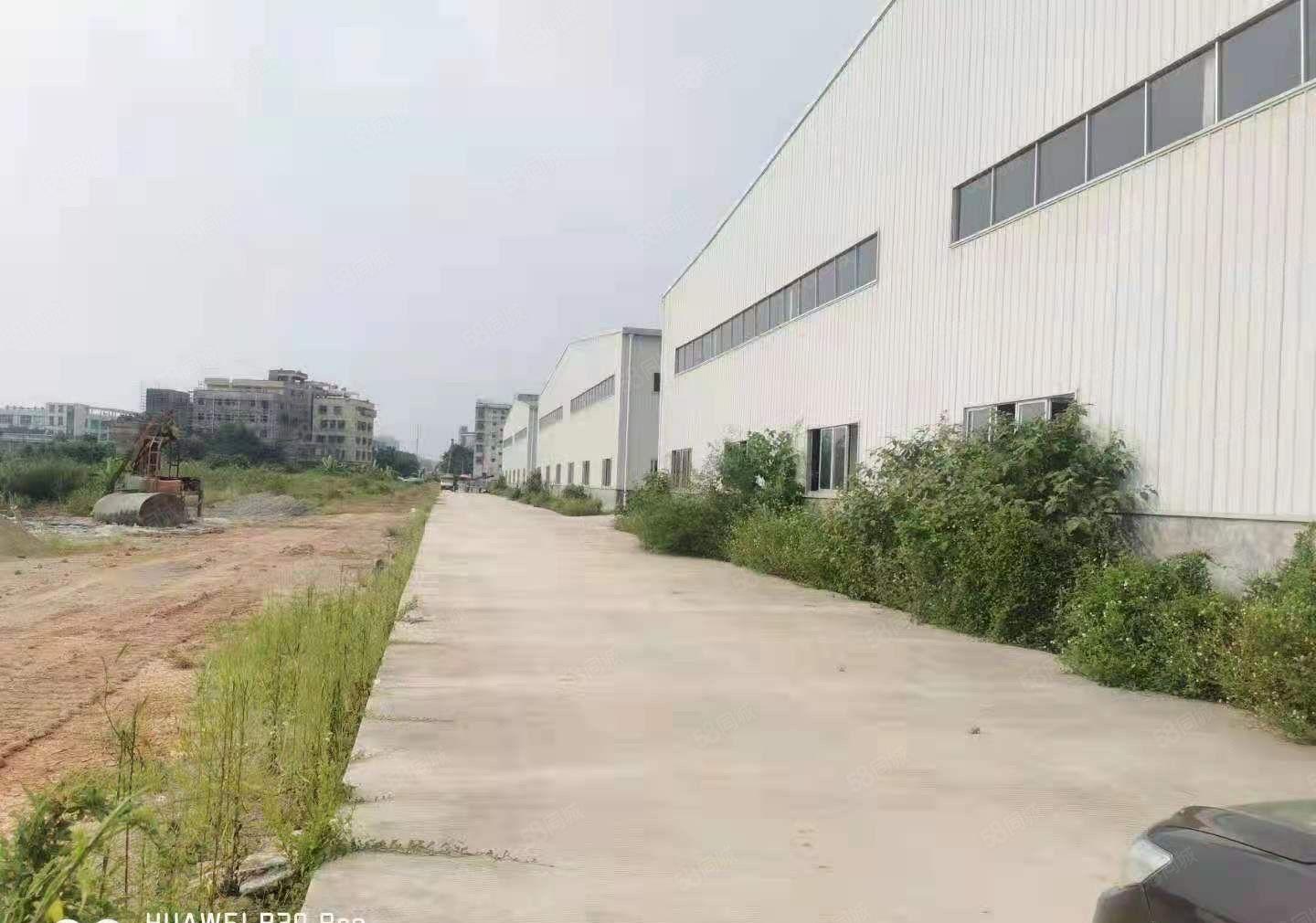 惠东白花滴水8米高全新钢构4栋16000平米，合同10年