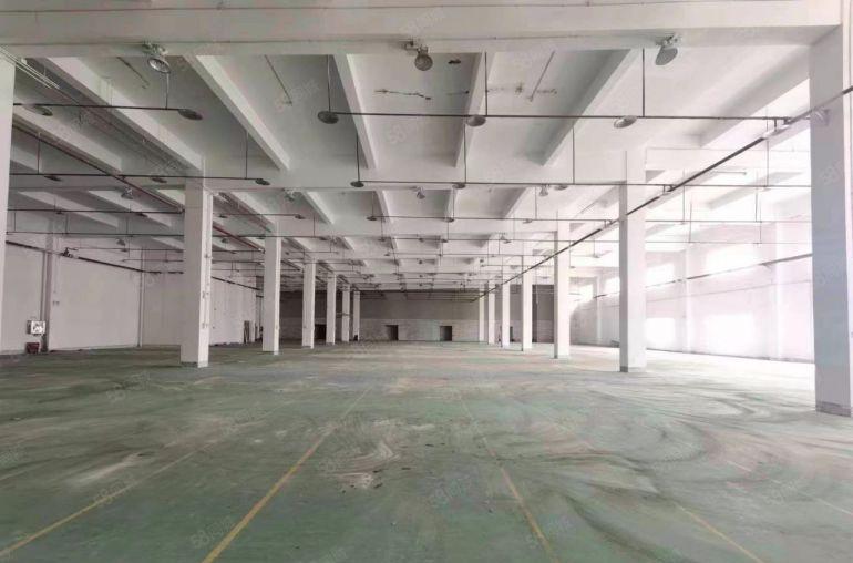 惠东白花特价10元一楼厂房