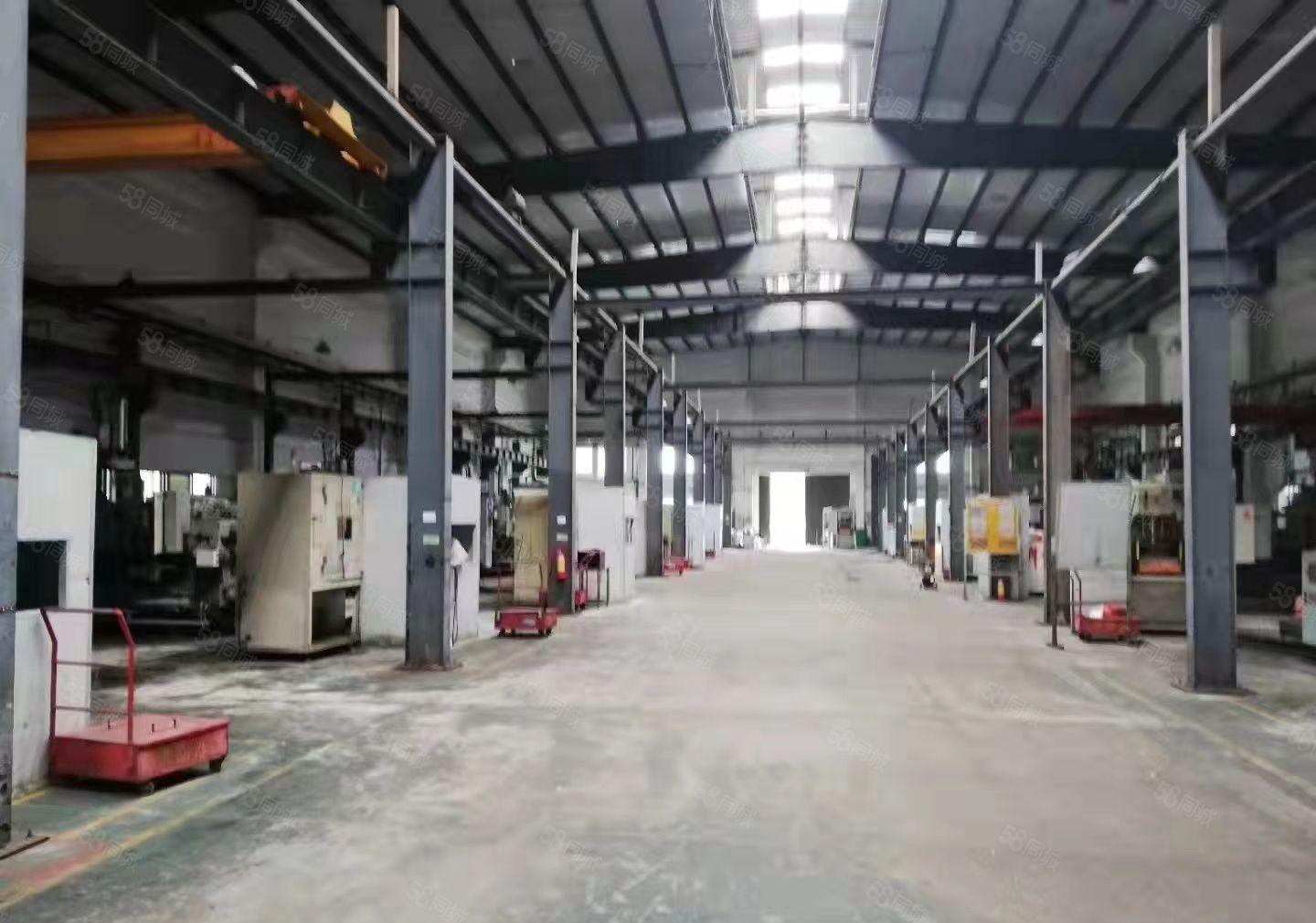 惠东单一层钢构厂房出租3万平滴水8米物流仓库出租分租缷货平台