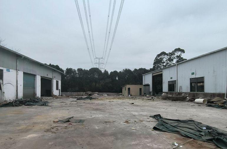 惠东新出小独院钢构厂房 2 栋共 3300 平出租招租