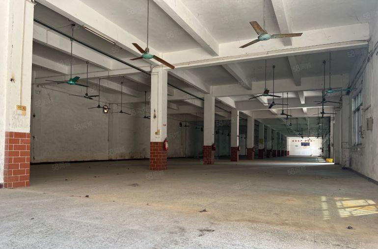 吉隆人民们路279号花园式独院厂房出租