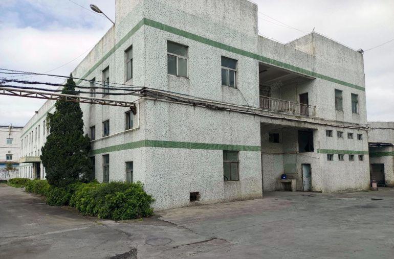 惠东白花特价10元一楼厂房