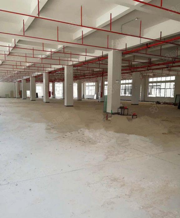 惠东大岭附近全新独院厂房10800平方出租