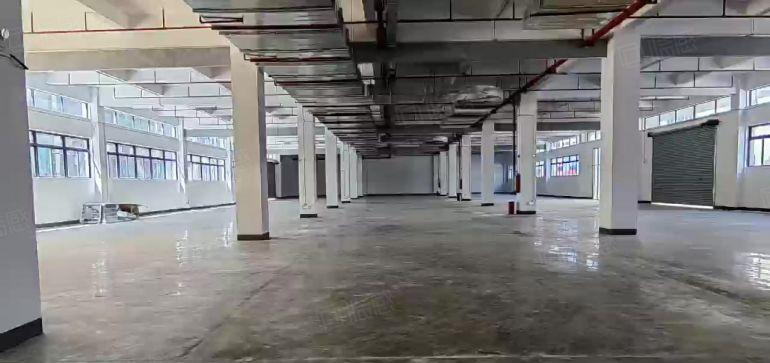 惠东大岭1万平方独栋全新厂房可分租，红本喷淋消防金刚砂耐磨地