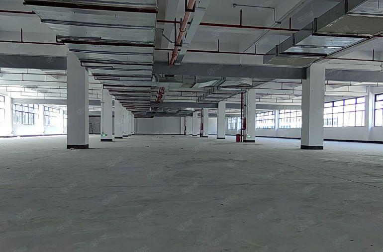 惠东大岭1万平方独栋全新厂房可分租，红本喷淋消防金刚砂耐磨地