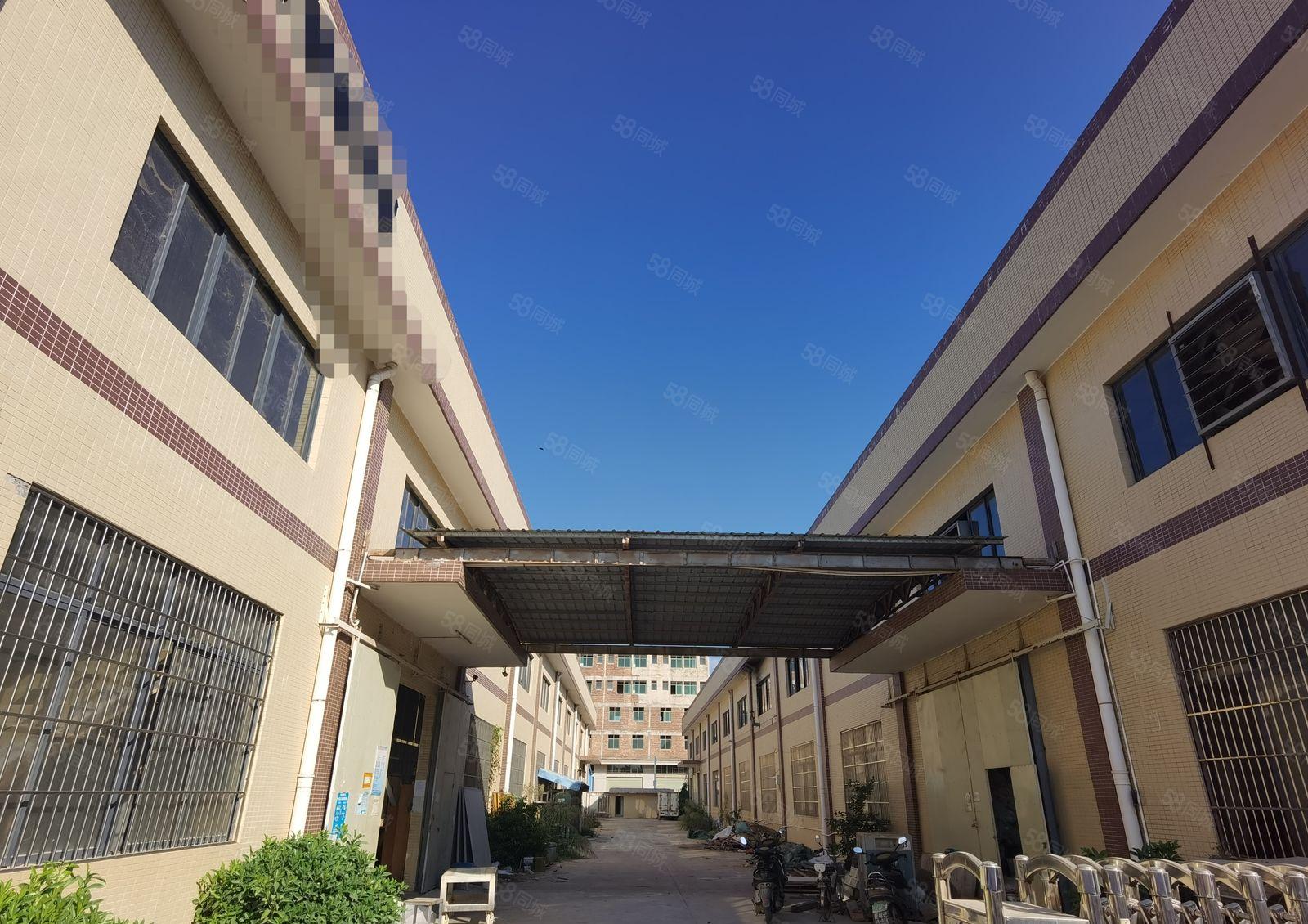 惠东县白花镇工业园内新空出滴水八米高钢结构厂房1700平出租