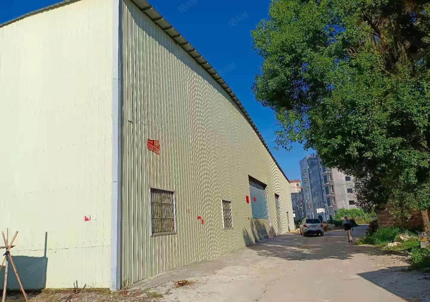 1900平滴水8米独院白花镇铁皮厂房900平起分可进大车