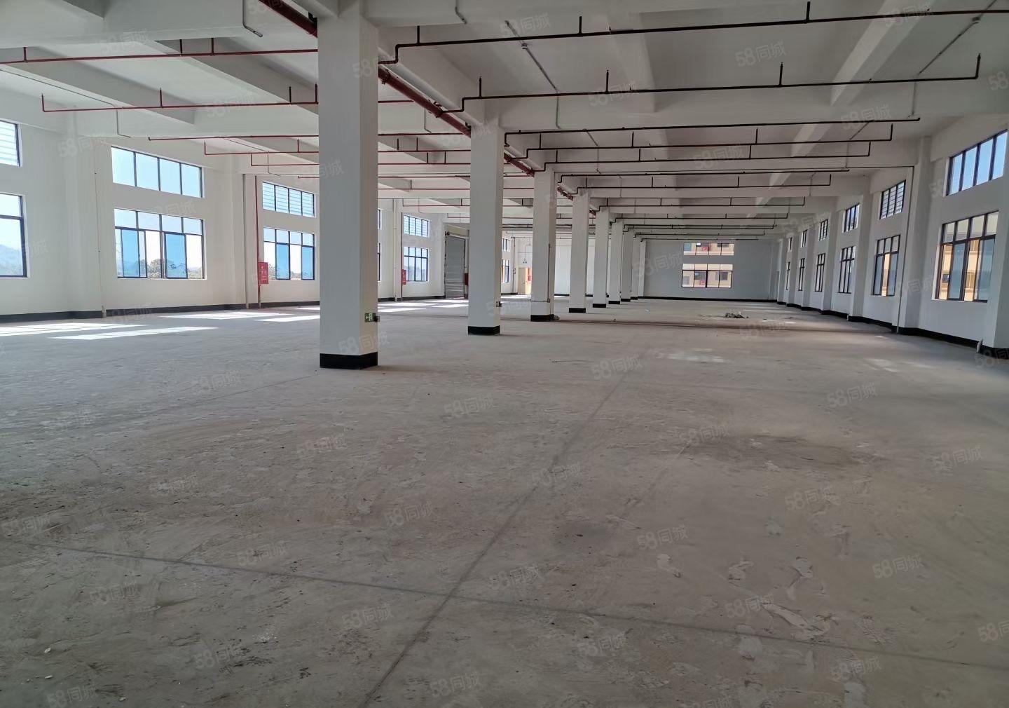 出租惠东大岭13230平方工业厂房，可办环评有专变，15元