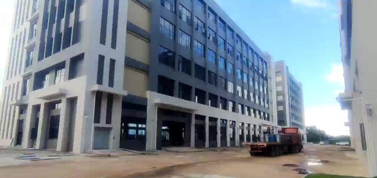 惠东大岭工业区10000平独栋全新标准重工业厂房物流仓库出租
