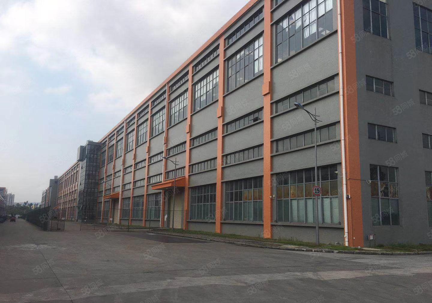 惠州市惠东白花工业园全新重工业钢构厂房5万方招租