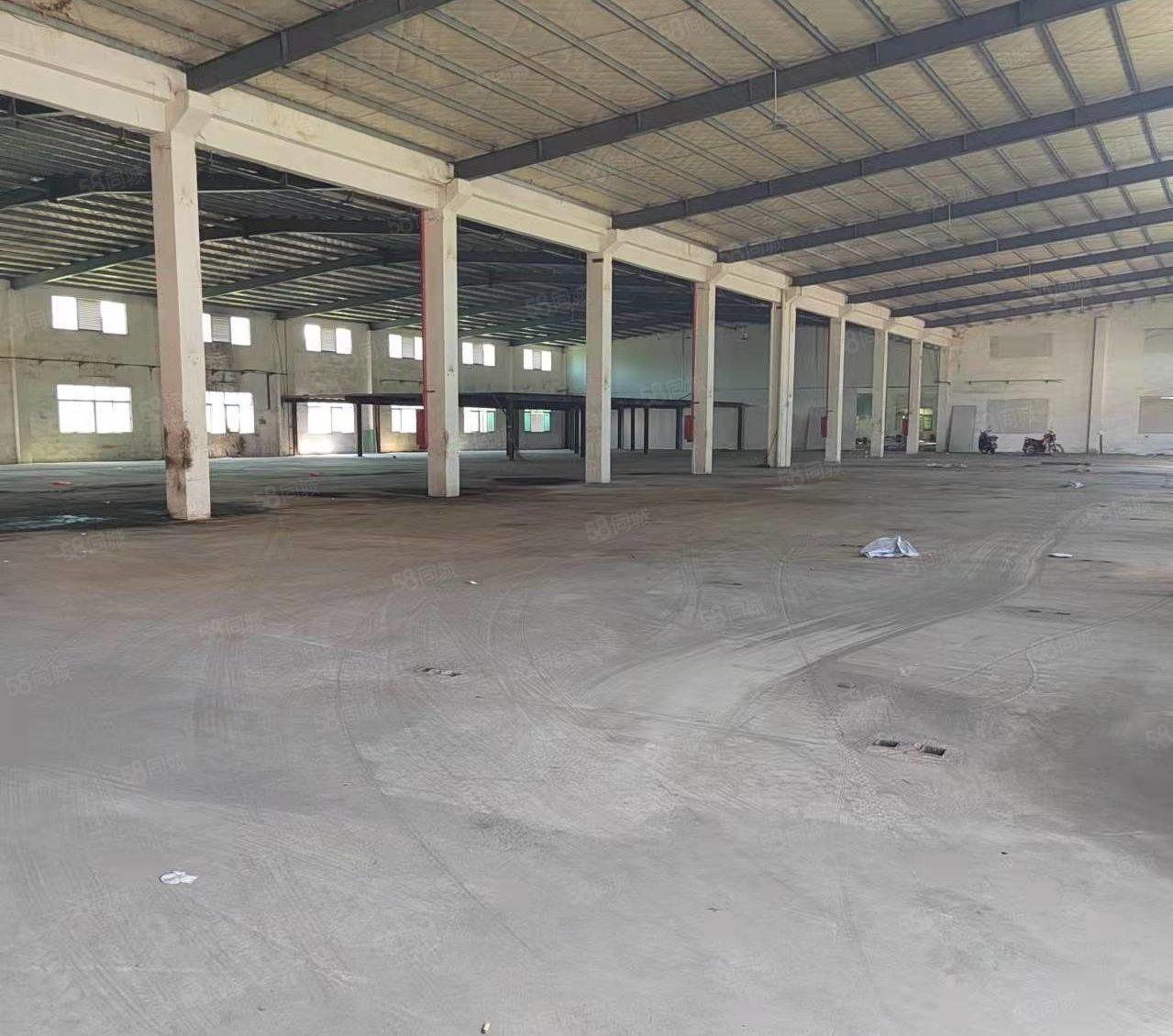 惠东全新钢构厂房出租 三万平方 大小可分租 交通便