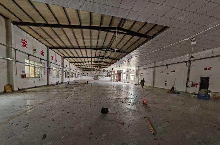 惠东白花特价10元一楼厂房