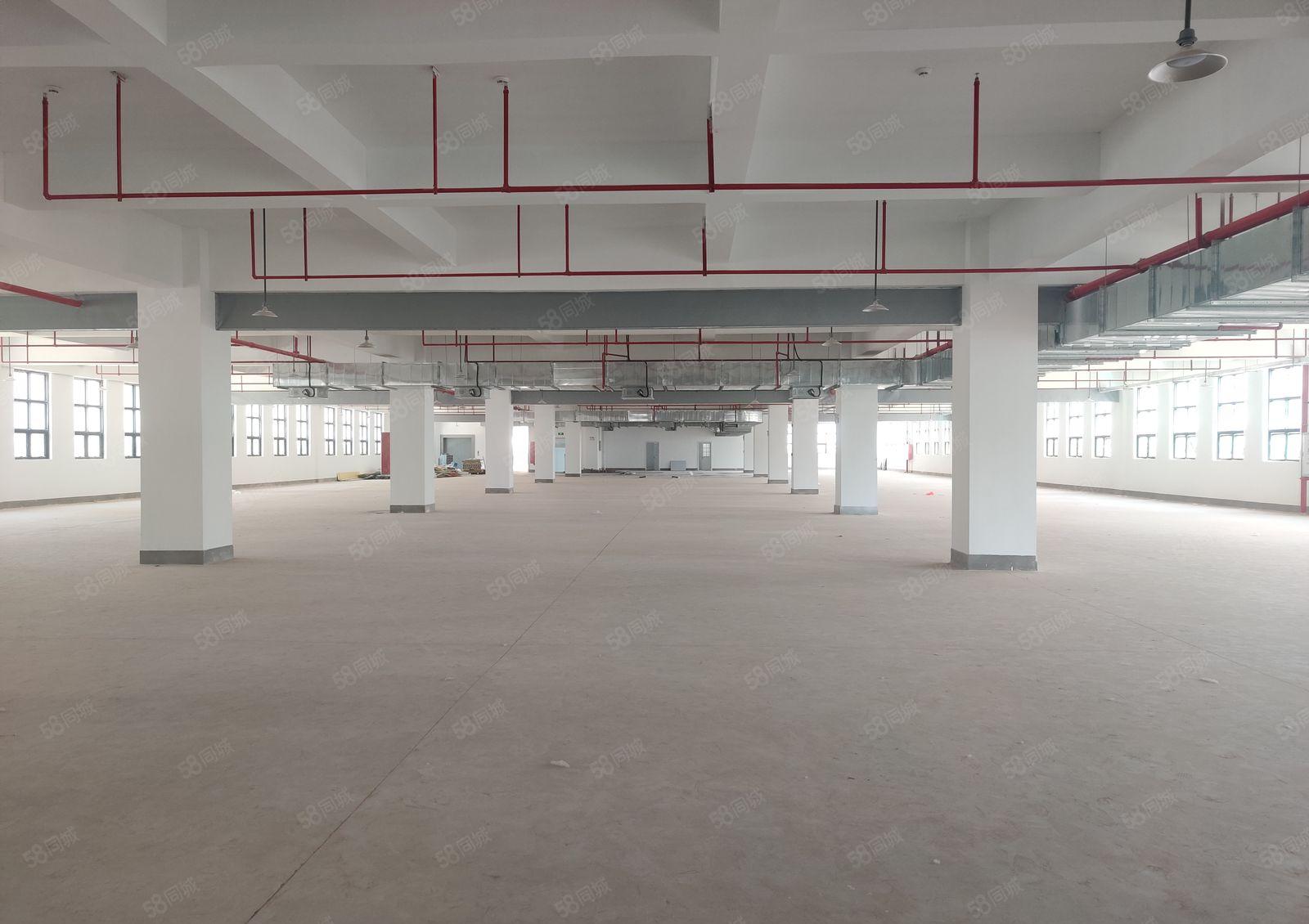 原房东6元白花大岭200平起租无公摊1万平厂房一楼仓库出租