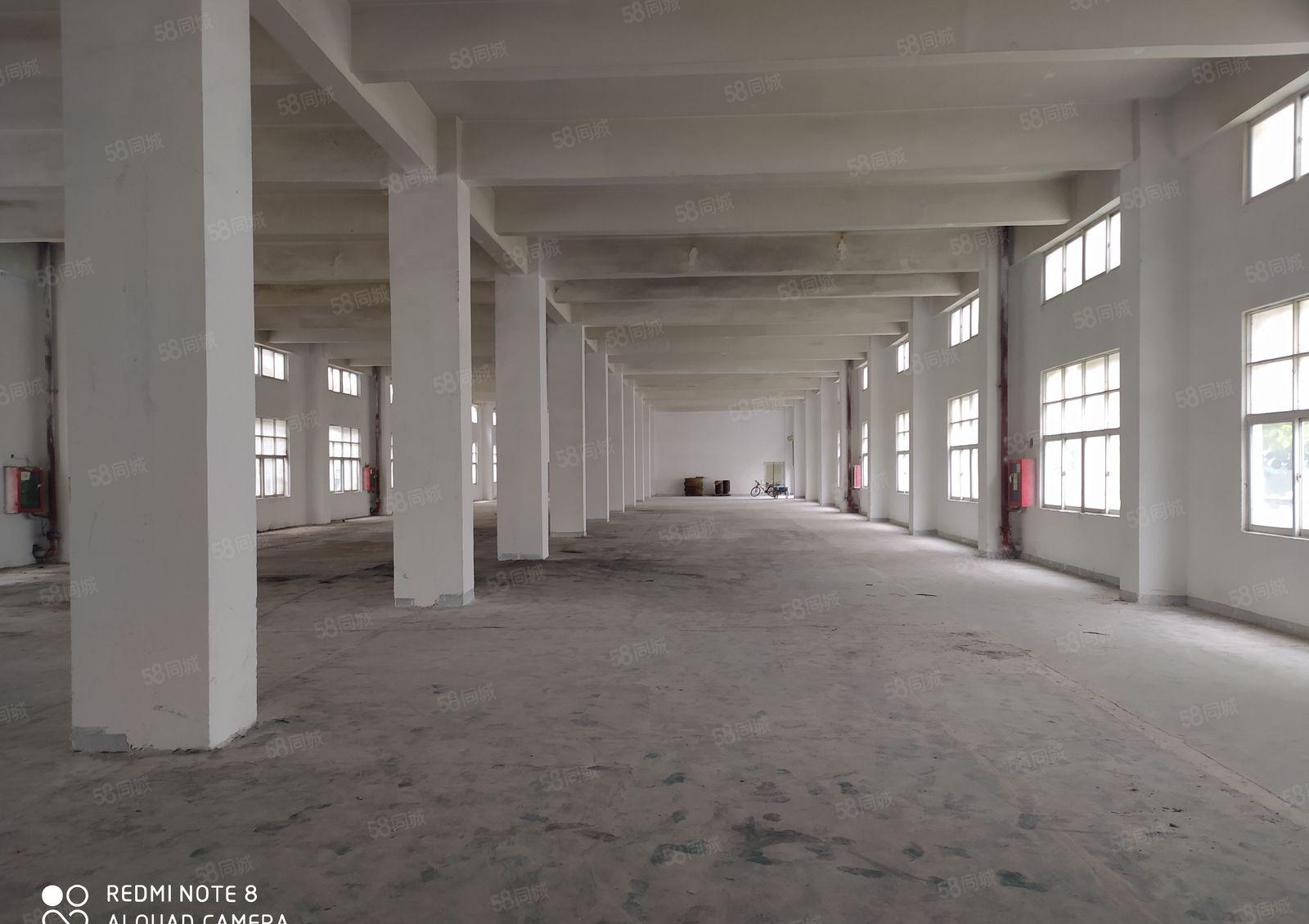 惠州市惠东县红本厂房出租1000起分整租统租可办环评