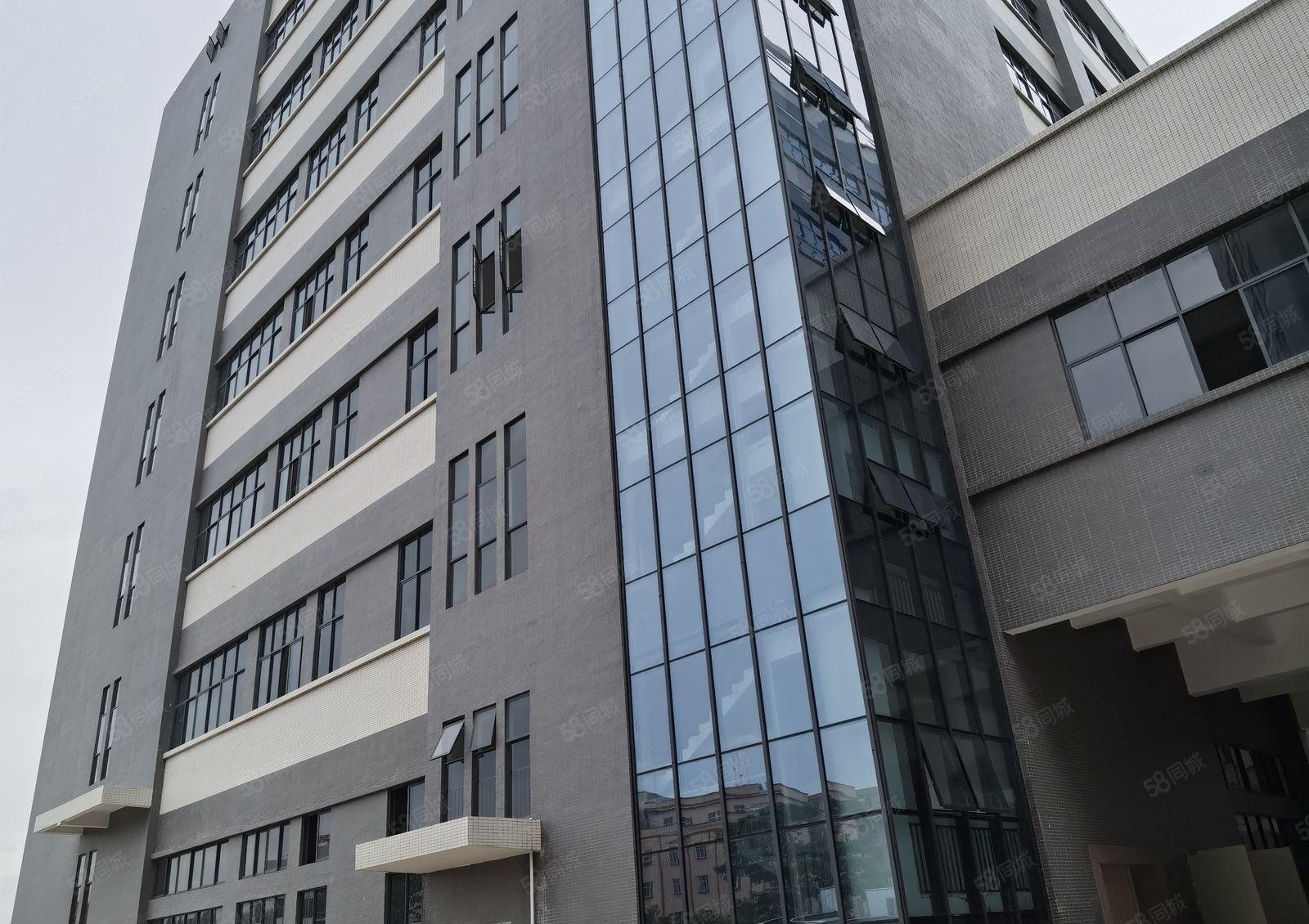 惠东平潭镇60000平方全新红本标准厂房原房东招租可分租