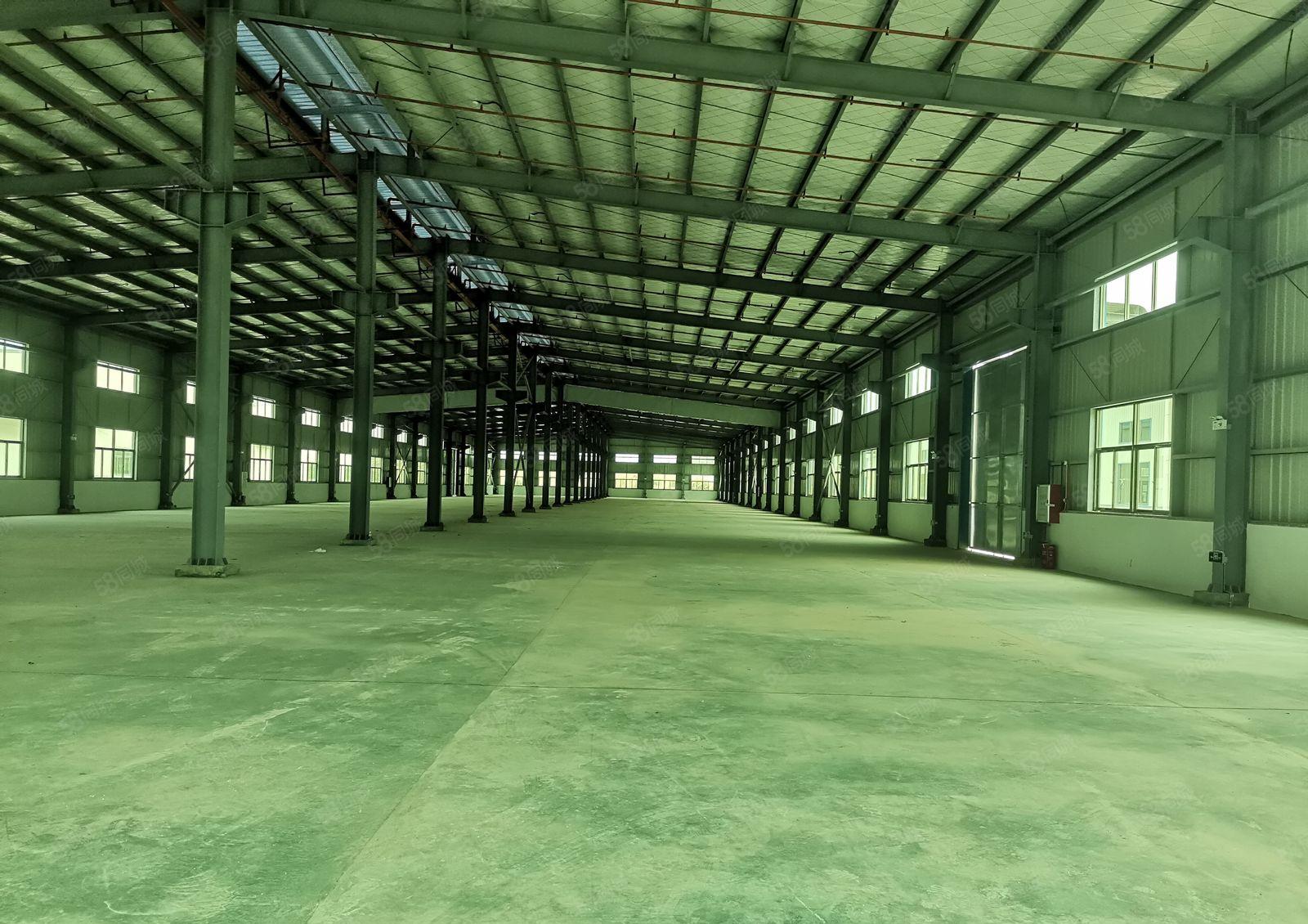 15元，惠东白花原房东钢构厂房低价招租