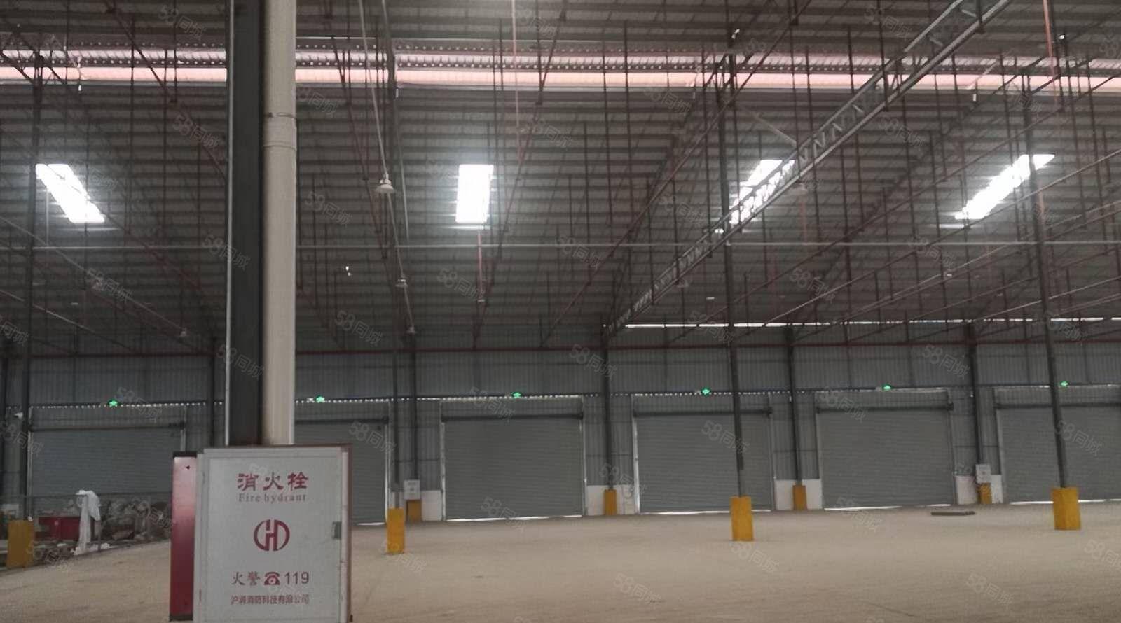 平潭自建钢构厂房招租滴水6米，已租一栋，钢构剩余2550平