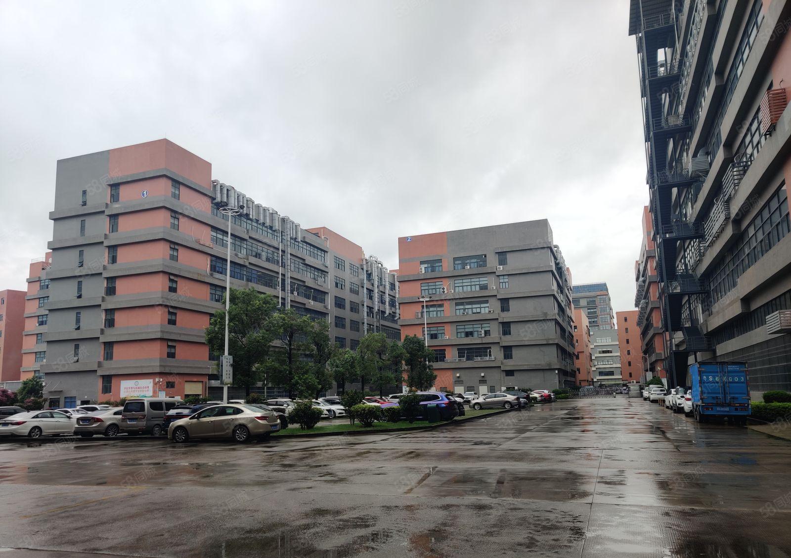 原房东6元白花大岭200平起租无公摊1万平厂房一楼仓库出租