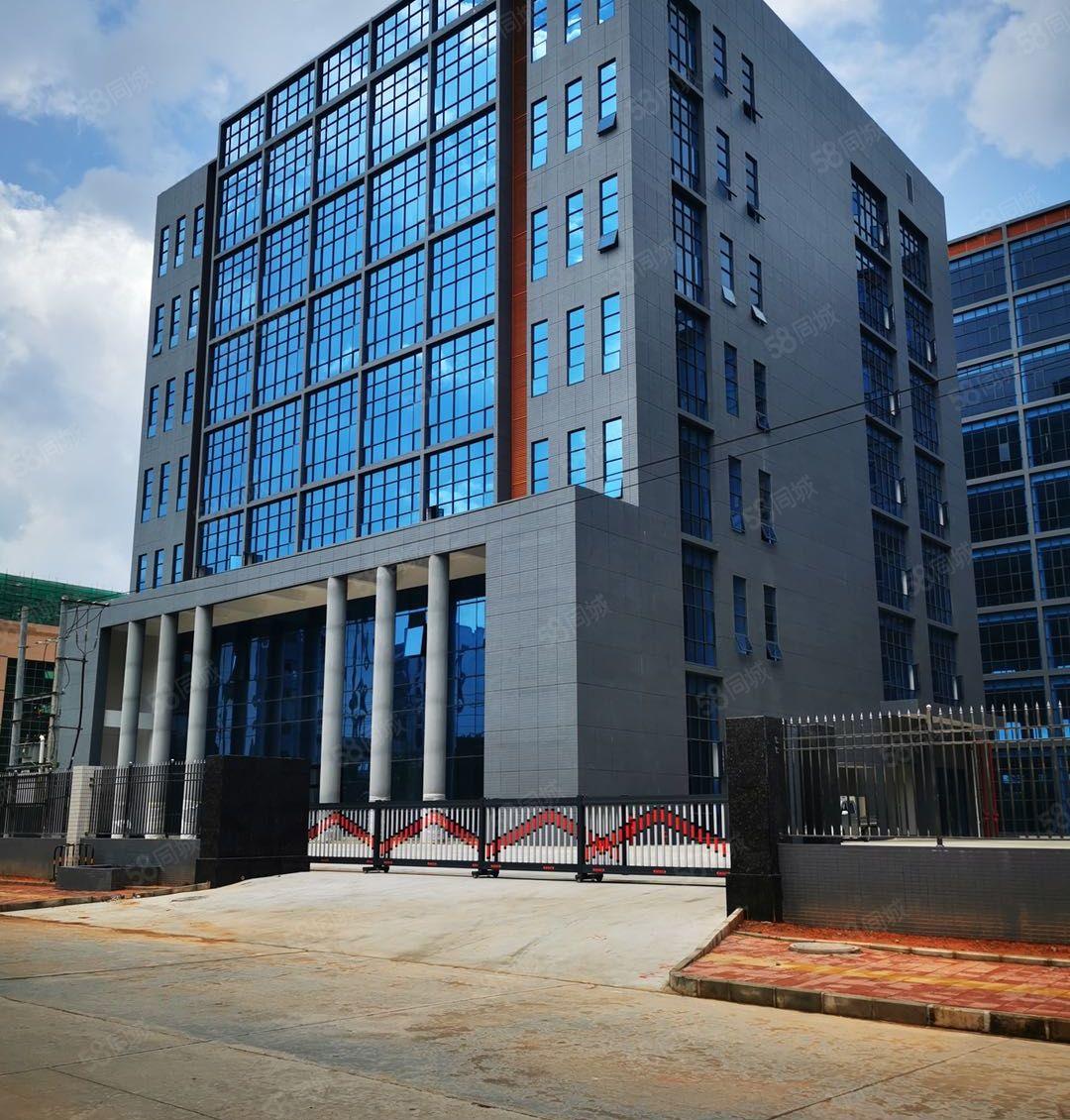 惠东白花全新红本标准园区5万平厂房出租 形象好 玻璃外墙