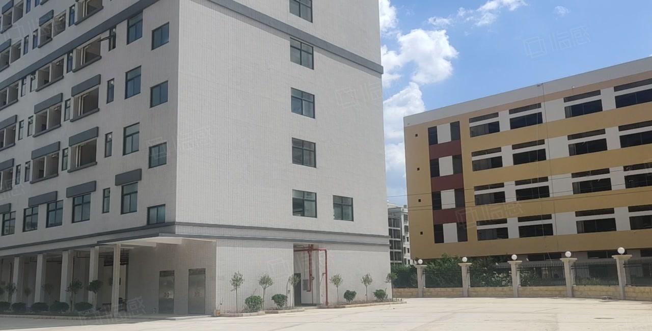 惠东大岭原房东红本厂房招租3万平方可办环评 高速口1公里