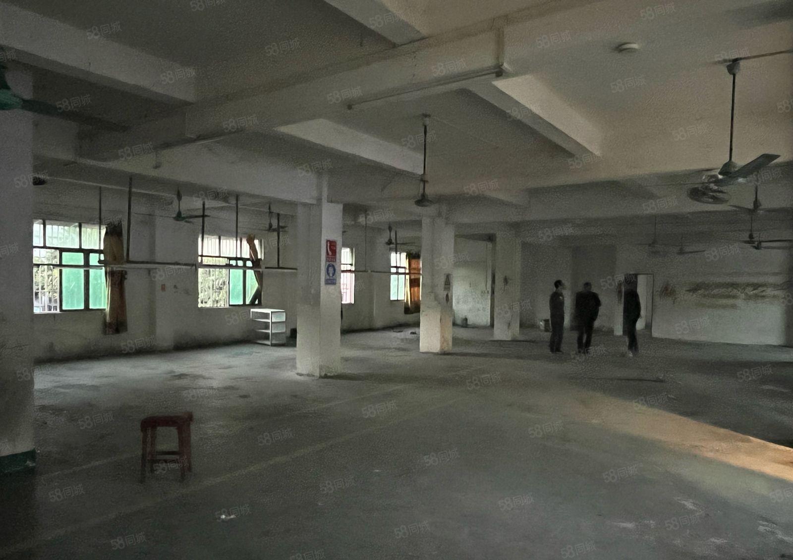 出租大岭鞋材市场附近电梯3楼，520平方淘宝办公室，11元