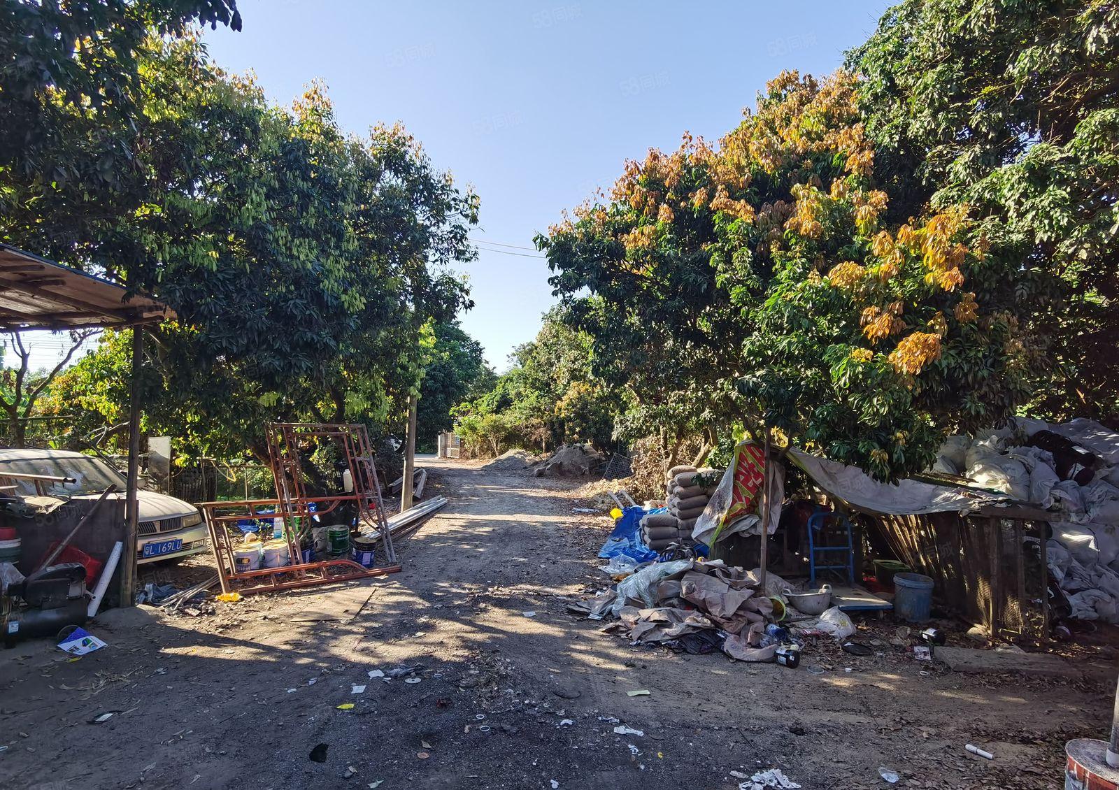 惠东县白花镇偏远树林中独门独院500平可做破碎钢结构厂房出租
