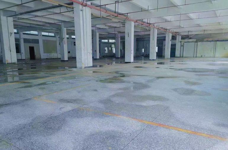 惠东黄埠独院厂房出租7800平方带喷淋也可任意分租