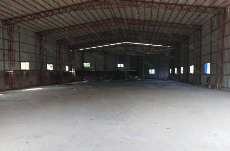 10元不限行业惠东原房东单一层钢构厂房600平起分