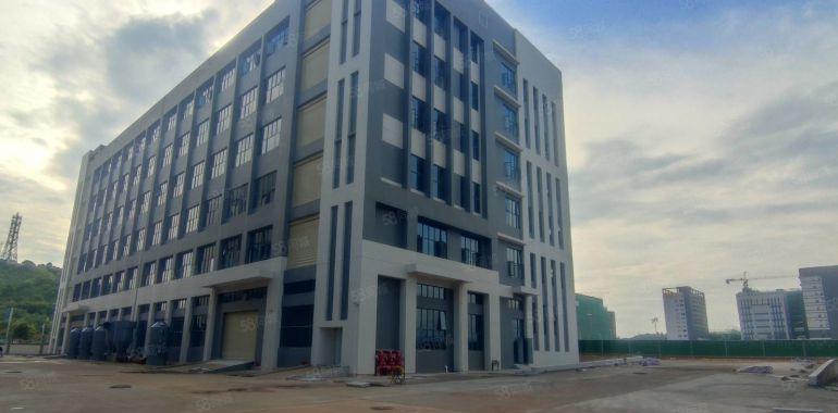 惠东大岭工业区10000平独栋全新标准重工业厂房物流仓库出租