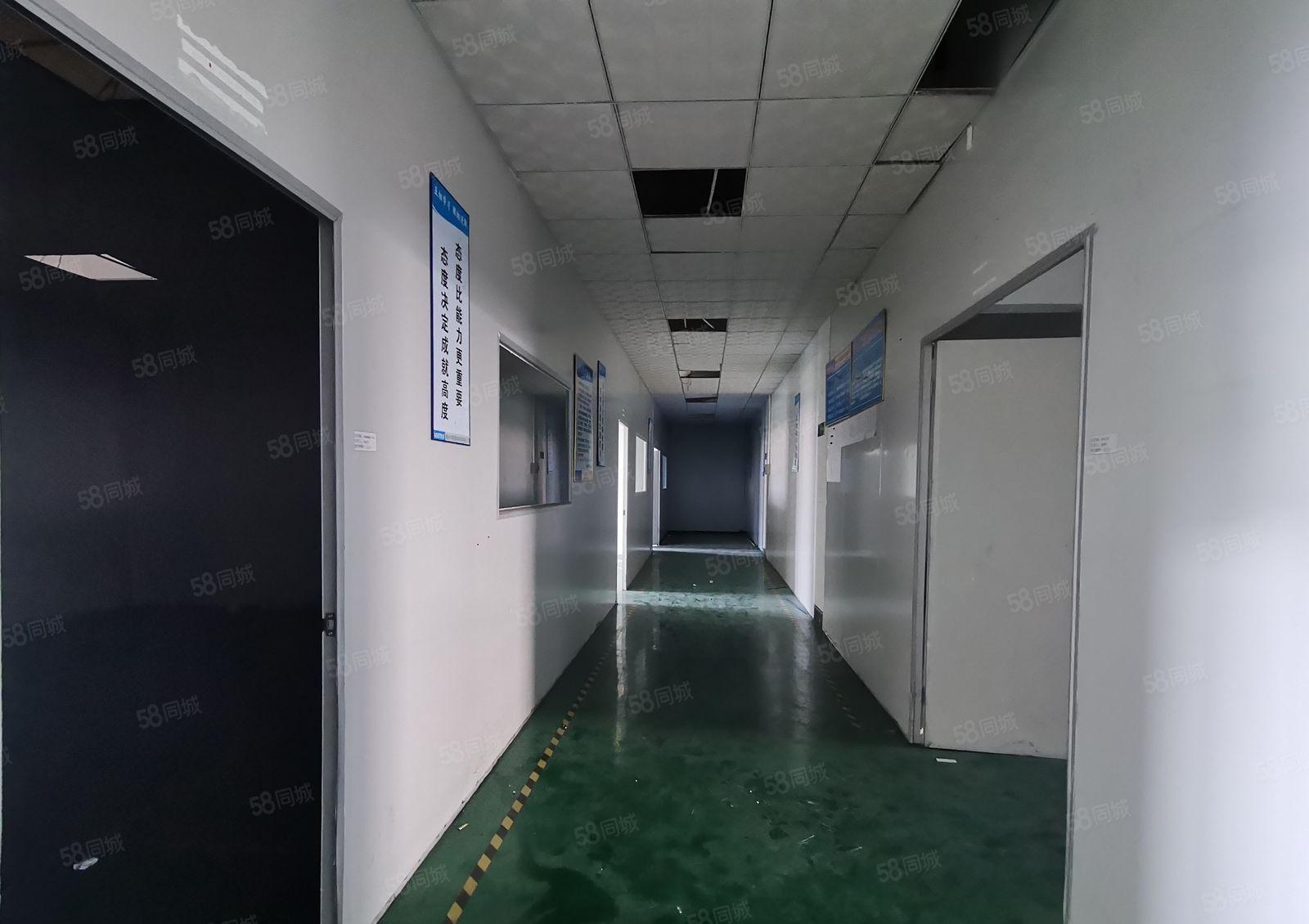 仲恺惠台工业区原房东厂房700平方带精装修出租