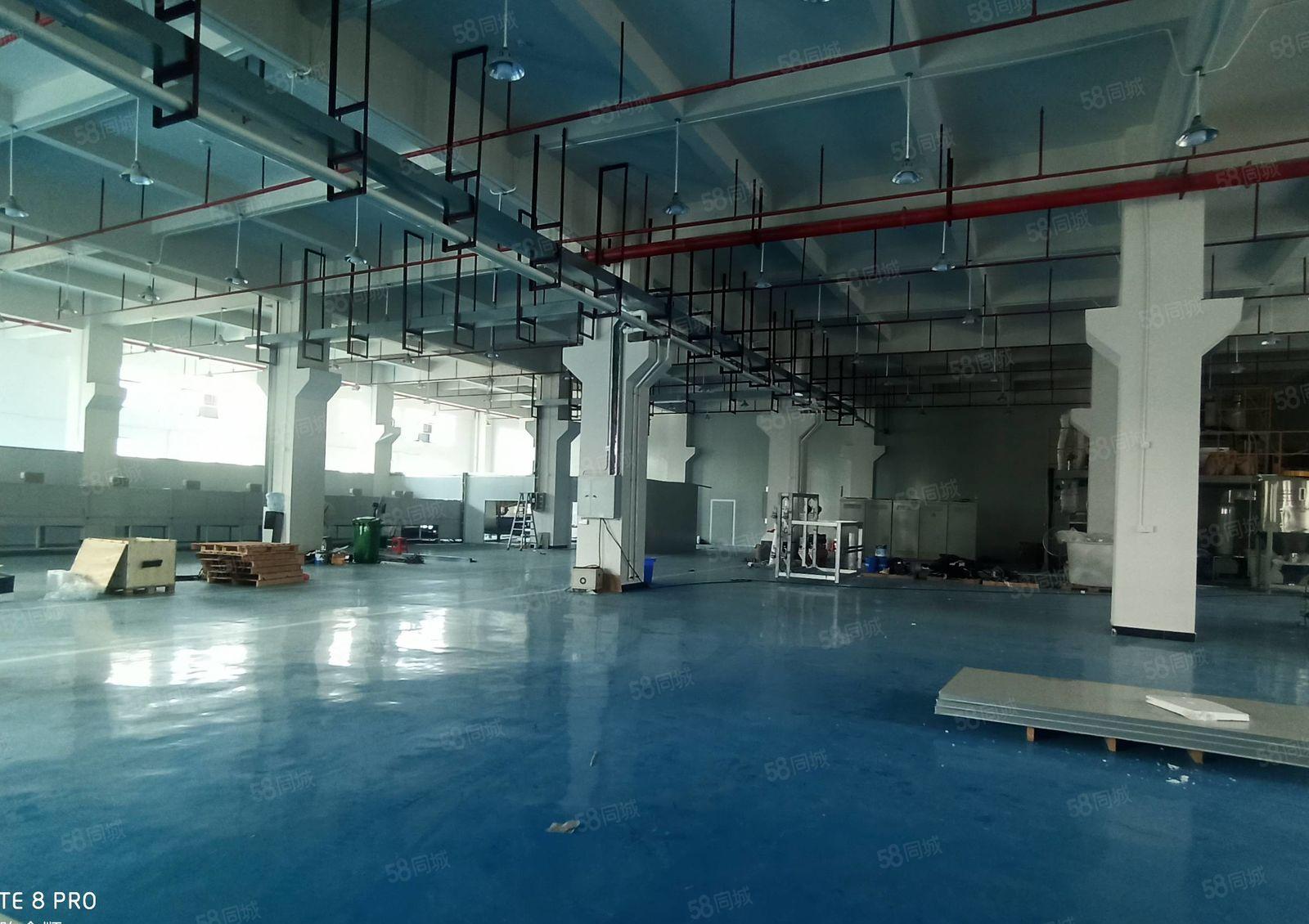 仲恺高新区工业园新出一楼3000平，可以分租