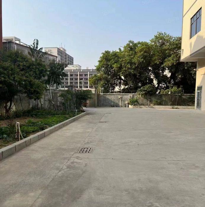 仲恺陈江独门独院潼侨标准新厂房1500平方出租