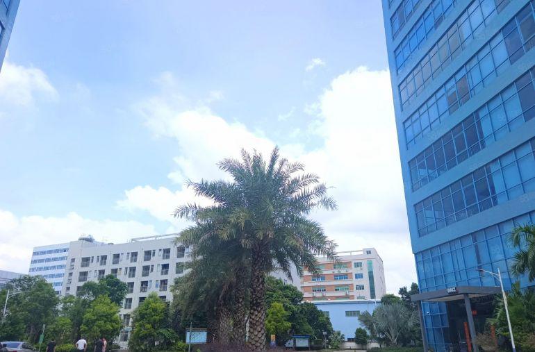 陈江高新园区楼上现成精装办公厂房1500平带洁净车间主线到位