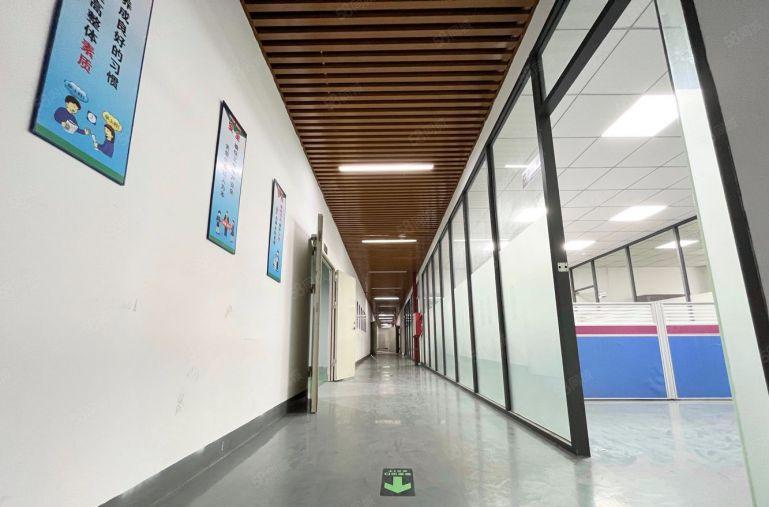 8元精装厂房，整层2000平，原房东厂房出租，高使用率