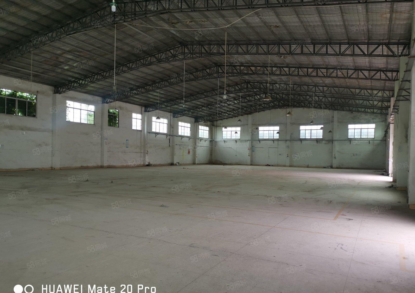 15元每平方陈江独院钢构厂房2000平方空地4000平方报价