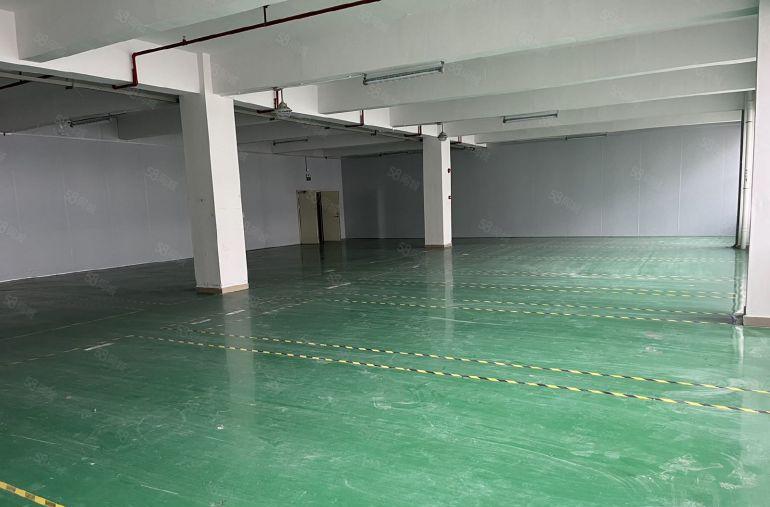 超长免租期仲恺原房东红本厂房低价出租带地坪漆200平起分租