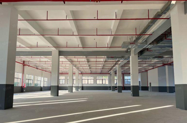 惠环特价12元急租2000平带装修红本全新合同年限